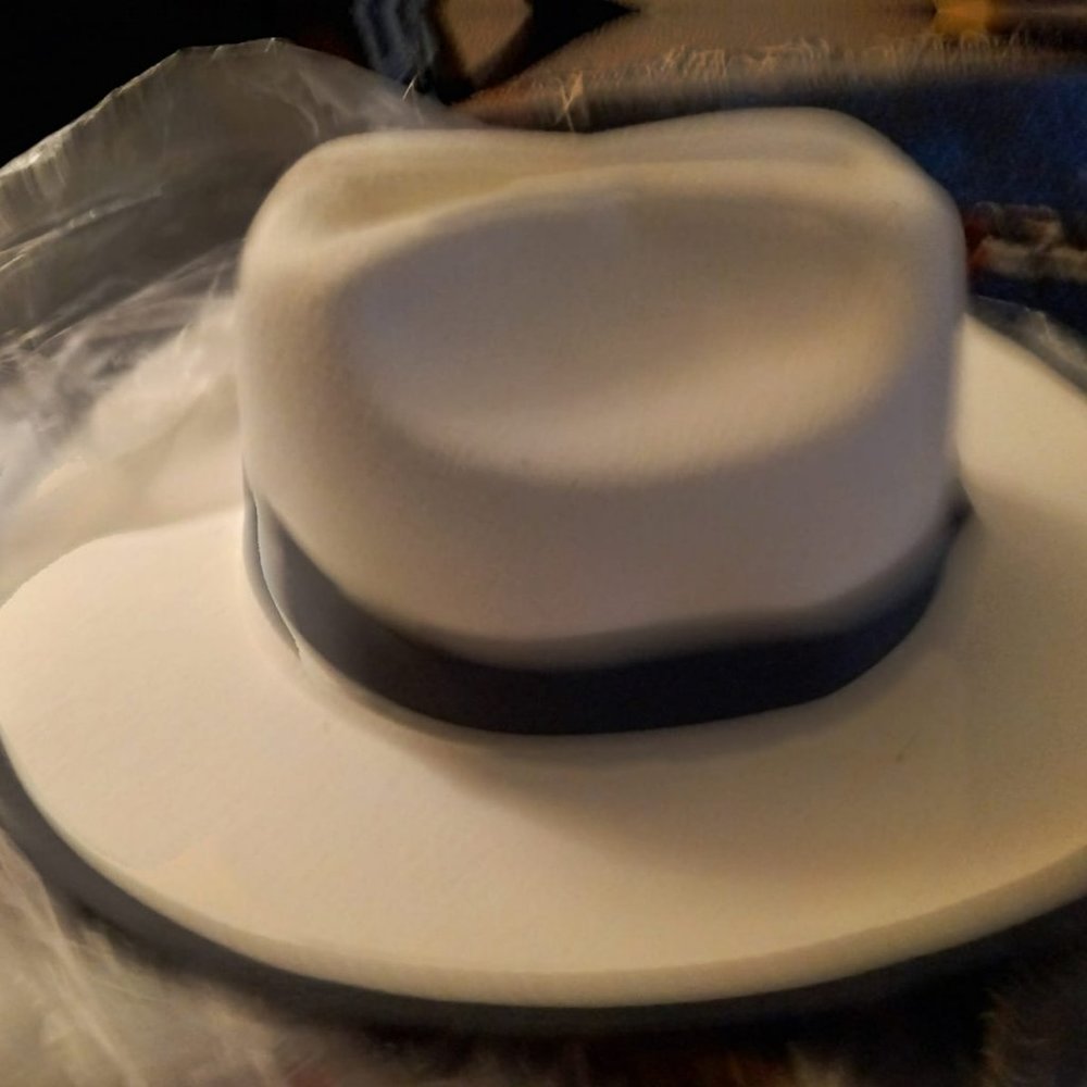 Miller Ranch Fedora - Picture 6 of 8
